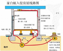 装修白蚁防治