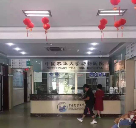 中国农业大学动物医院